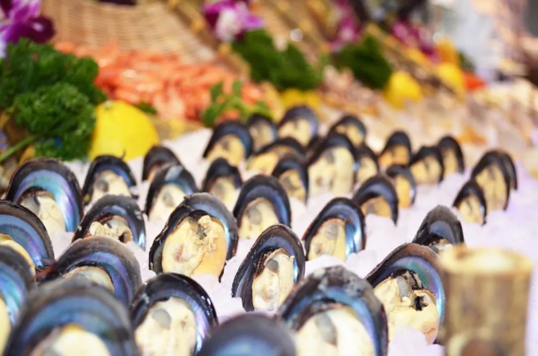 旅博会自助餐价目表,旅博会旅游特惠