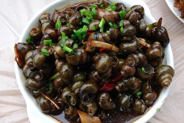 上海最值得去的古镇推荐排行榜,上海六大古镇哪个最值得去游玩