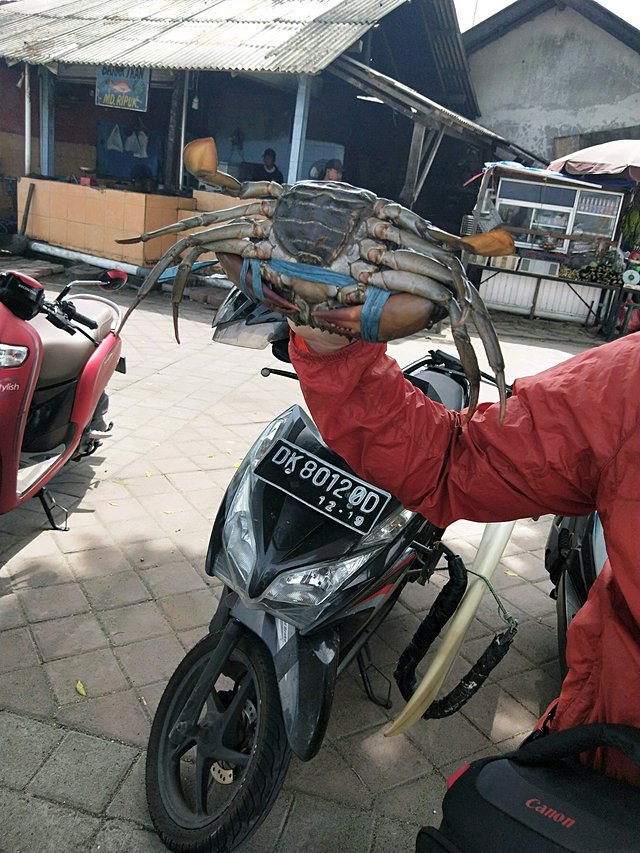 巴厘岛漂流跟团游一日游,巴厘岛冲浪潜水行程推荐