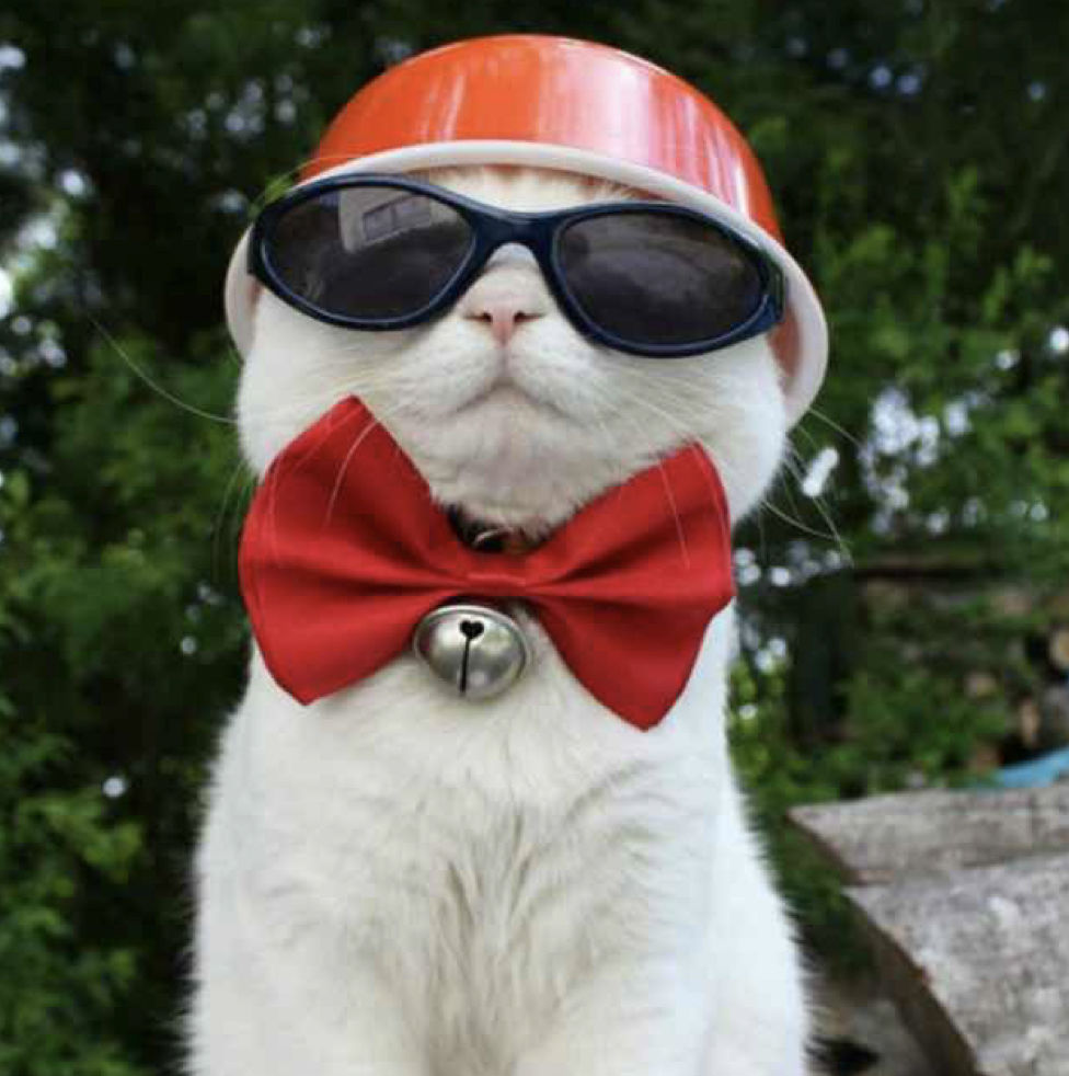 凛冬已至游戏怎么玩,权力的游戏凛冬将至场景