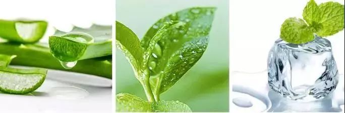 白头黑头到底拔不拔,黑头反反复复如何根治