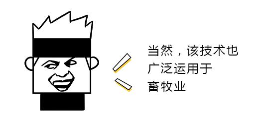 这10个正规医院隐藏项目，你一定都不知道！！！