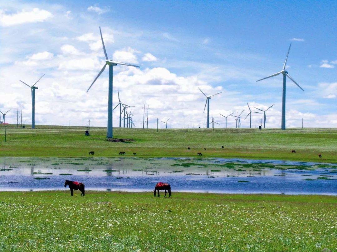 赞牛原切牛排,赞牛最好的一首诗