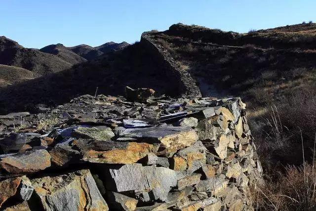 牛原本个人资料,内蒙古主要有哪几种牛