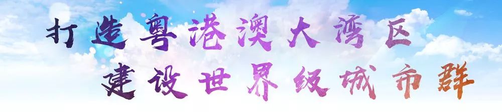 被巡察党组织收到巡察组反馈意见,巡察报告被巡察党组织履职情况