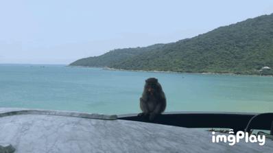 旅游攻略岘港八日游旅行路线推荐,旅行越南岘港