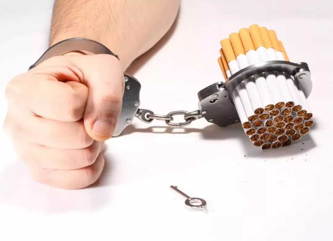 利群软中华最新价格表和图片,整条的软中华多少钱一条