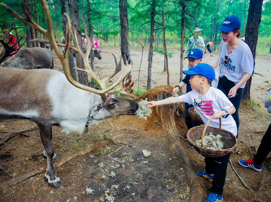 12月份出国亲子游,出国亲子游哪些国家合适