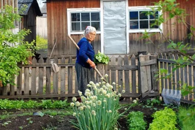 12月份出国亲子游,出国亲子游哪些国家合适