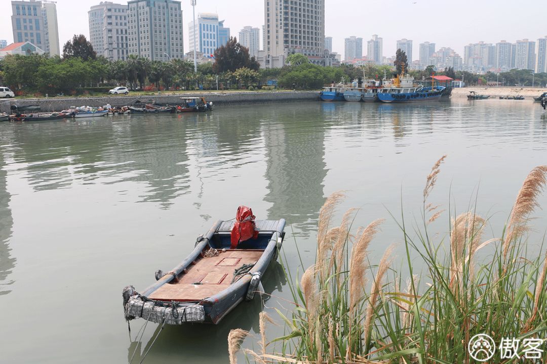 厦门美食探店海沧,厦门海沧特色美食探店