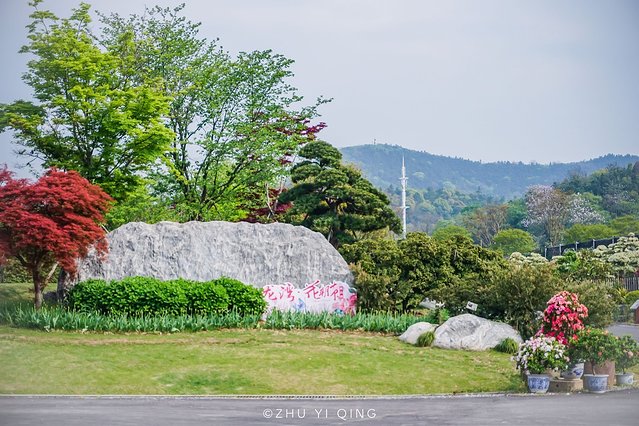 无锡赏花一日游,无锡春日樱花旅游攻略