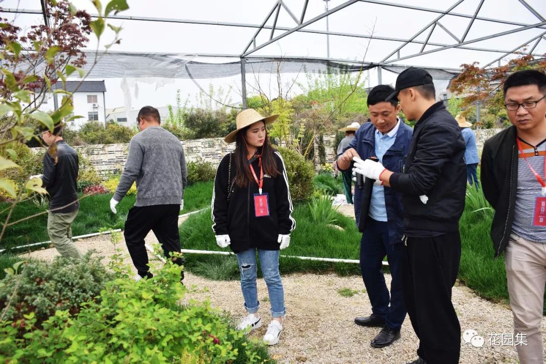 搴櫌姘存櫙鍠风亴,鍠风亴姘存櫙