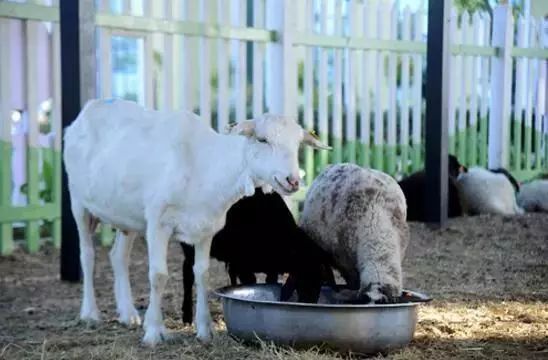 龙江游玩推荐,周末带你游龙江