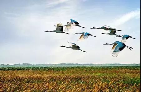 龙江游玩推荐,周末带你游龙江