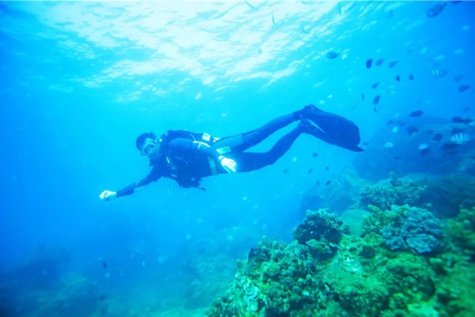 41℃啊啊啊,海南9市县热“爆表”!最佳避暑地竟是三亚?