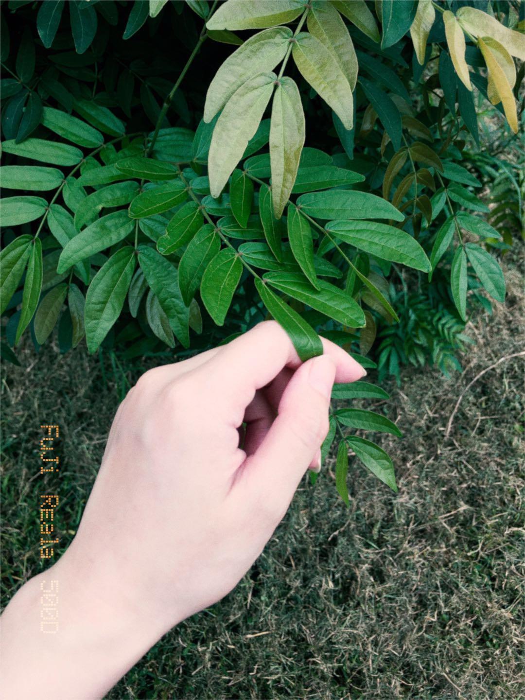 用这款相机app轻松拍出超棒的胶片,逼真的拍照软件