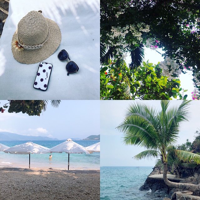 越南越美自由行攻略,去越南最好的攻略