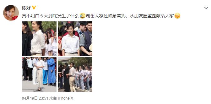 陈好历程,大家还记得当初的万人迷陈好吗