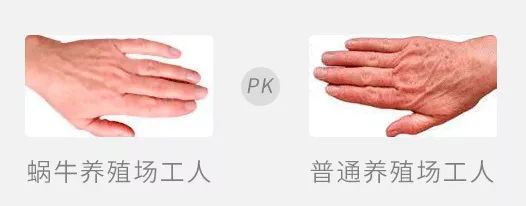 网红抗老面霜,35款网红修护霜