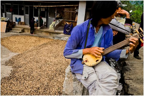 拼多多助力农业脱贫视频,拼多多扶贫行动