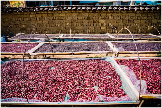 拼多多助力农业脱贫视频,拼多多扶贫行动