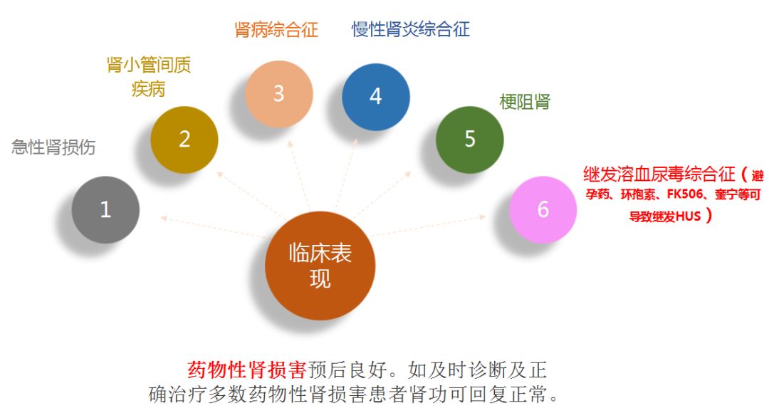 科普肾脏,医学科普出汗和肾脏关系