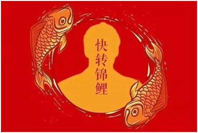 快来拱墅！锦鲤出现，能不能全年免单就看你的了！