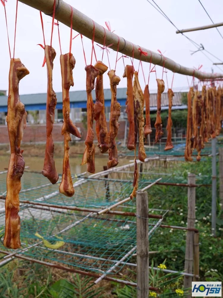 行摄肇庆·美丽砚洲岛——最接地气的生活记录，真实的力量打动人心