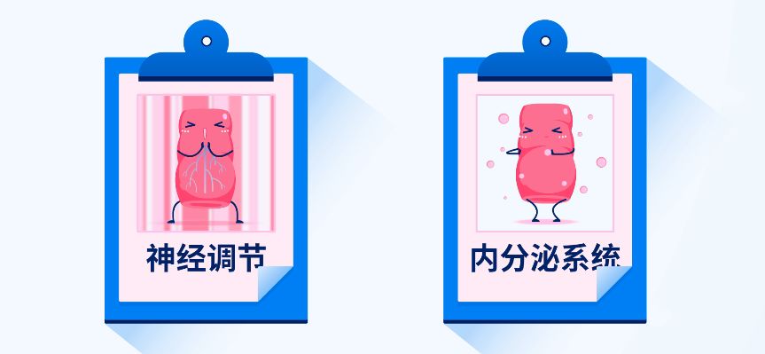 切胃真的能瘦吗,切胃减肥不就是节食吗