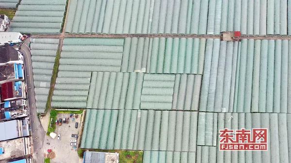 福安市赛岐马拉松,一路跑步一路美景