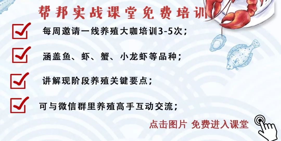 冬棚对虾养殖连续低温阴雨的防控,养殖对虾遇到连续阴雨天气怎么办
