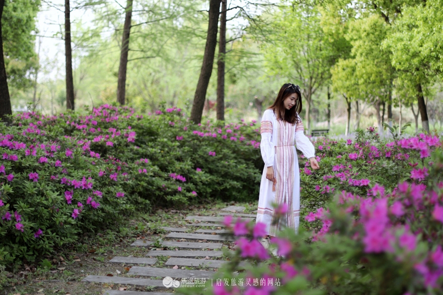 原味江南|在春日繁花烂漫的沙家浜,等风也等你