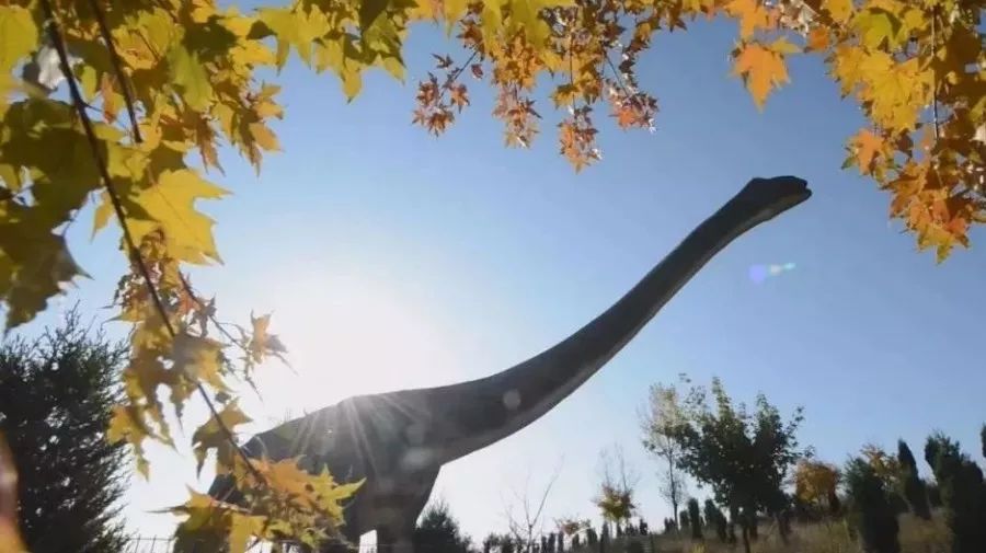 人说好山好水好风光,人说河南好风光