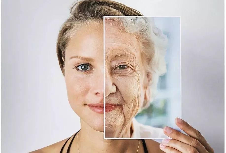 大s日本防晒帽哪个颜色好看,大s同款渔夫防晒帽