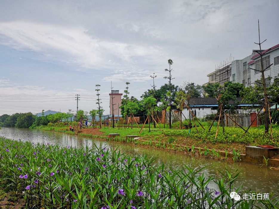 斗门为什么叫斗门,外地人眼中的斗门