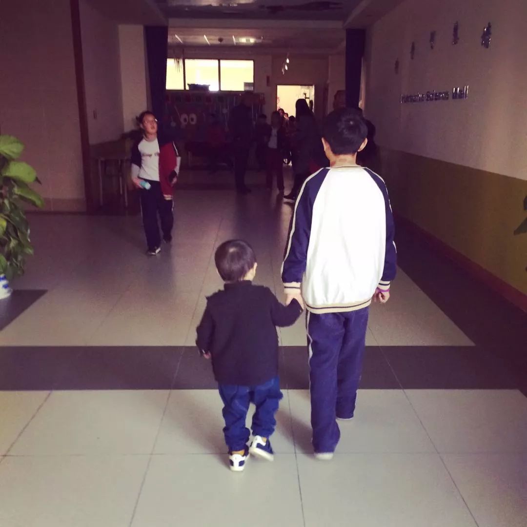 孩子小升初择校的文案,幼升小择校文案