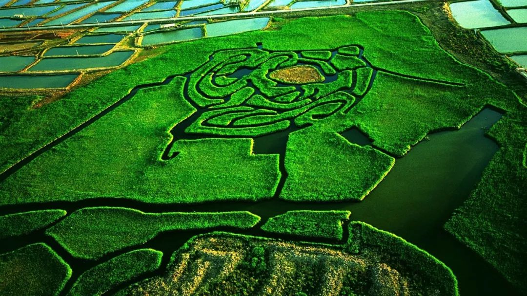 塞上江南的独特风韵,塞上江南大漠风情