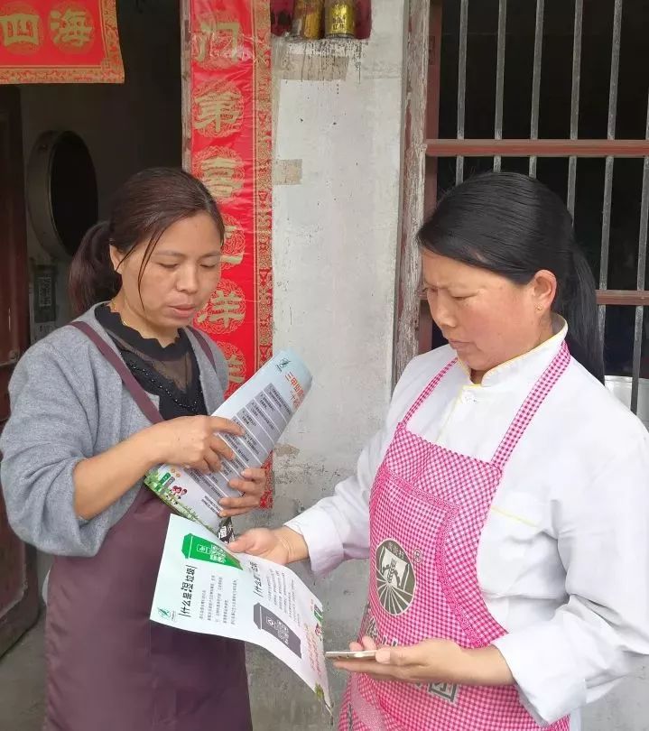 凝聚巾帼之力汇集巾帼之智,垃圾分类巾帼力量