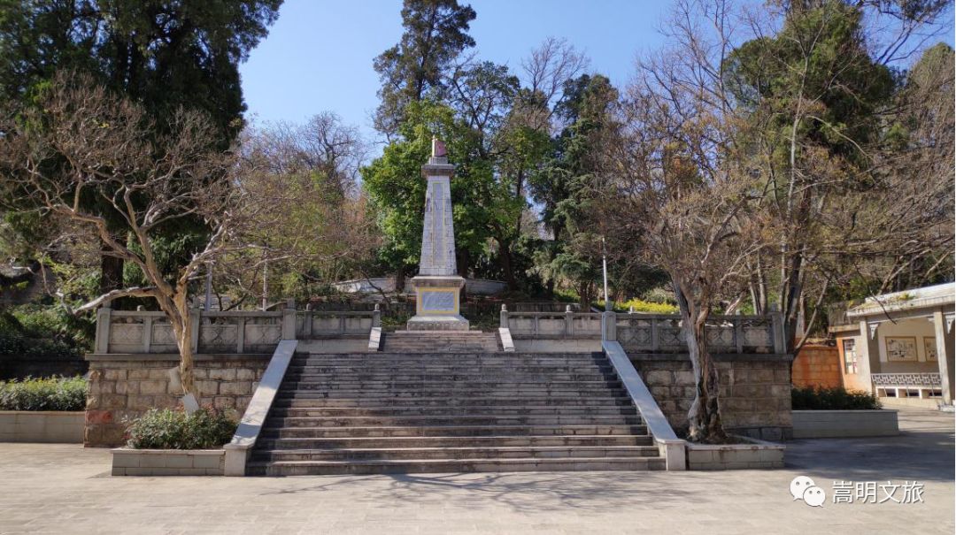 来一场说走就走的旅行来云南看雪,来一趟云南之旅吧