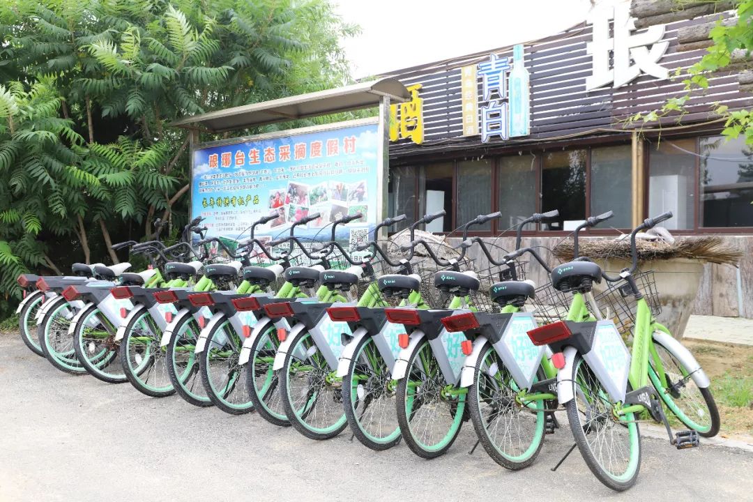 娴峰彛瑗挎捣宀告俯娉夊摢閲屽ソ,闈掑矝瑗挎捣宀告俯娉夊摢閲屽ソ