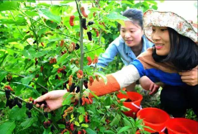 通辽文化旅游季来啦,通辽市哪里适合踏青