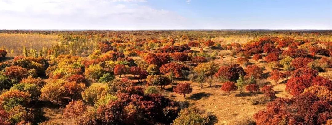 通辽文化旅游季来啦,通辽旅游活动