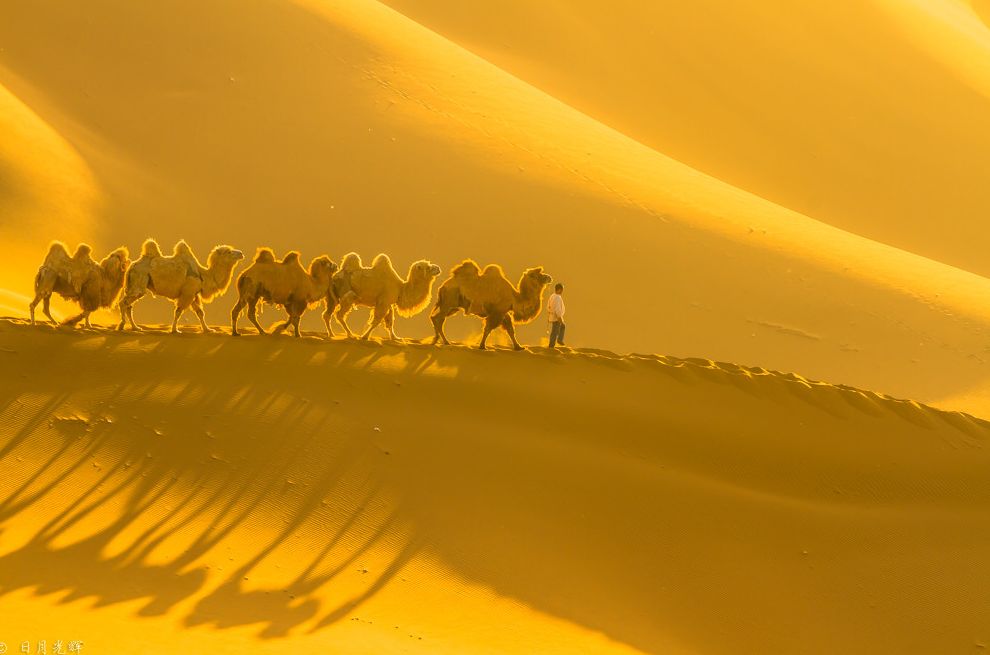 12月份出国亲子游,出国亲子游哪些国家合适