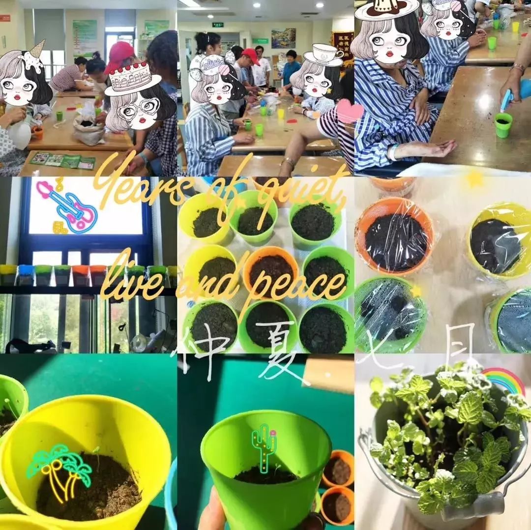 残疾人智慧康复怎么使用,残疾人创新项目有哪些