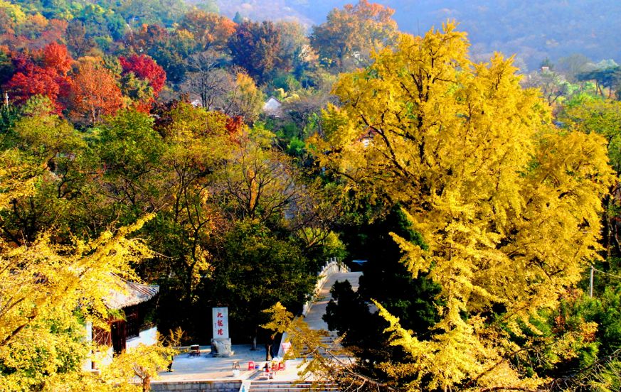 连云港市旅游景点开放通知,江苏连云港景区免费开放通知