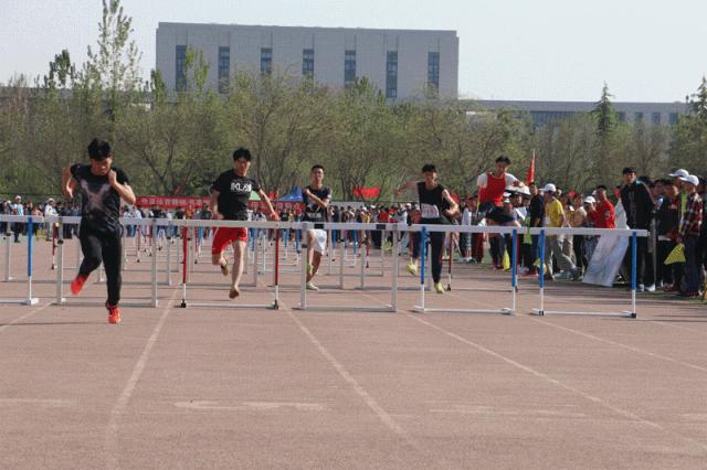 最新运动会秩序册,运动会秩序表