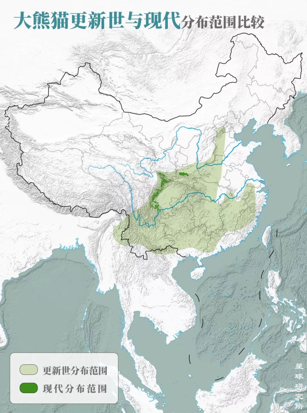熊猫萌啦,熊猫萌