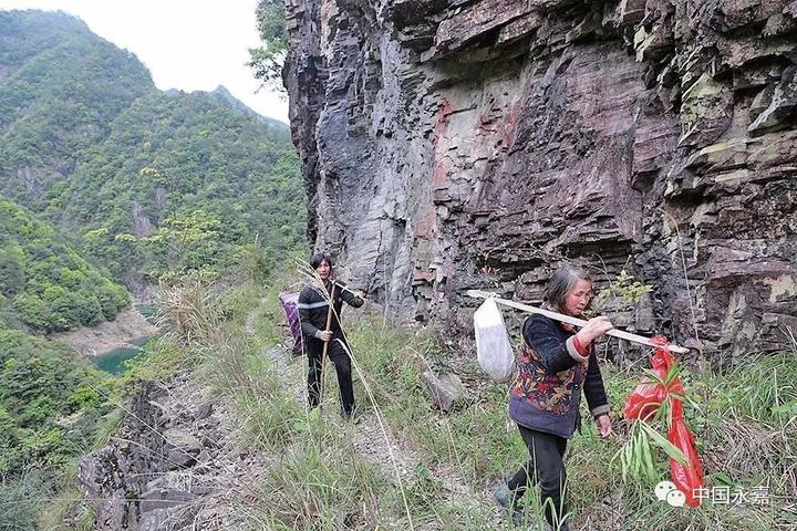 温州这座“孤岛”与世隔绝只有一户人家