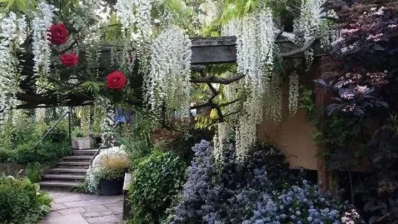 待天气晴好,伦敦阴雨天去哪旅游好
