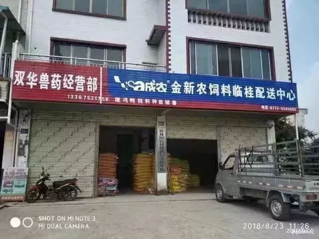 桂林临桂幼儿园最新招聘信息,临桂幼儿园招幼师